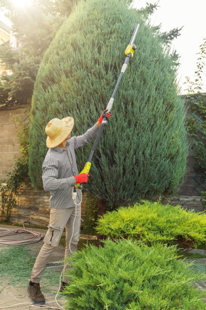 Lawn Drainage Solutions in Northwest Harbor, NY